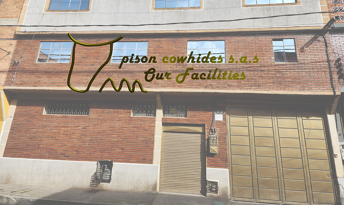 Our Facilities